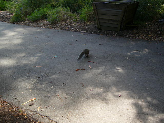 P1020286