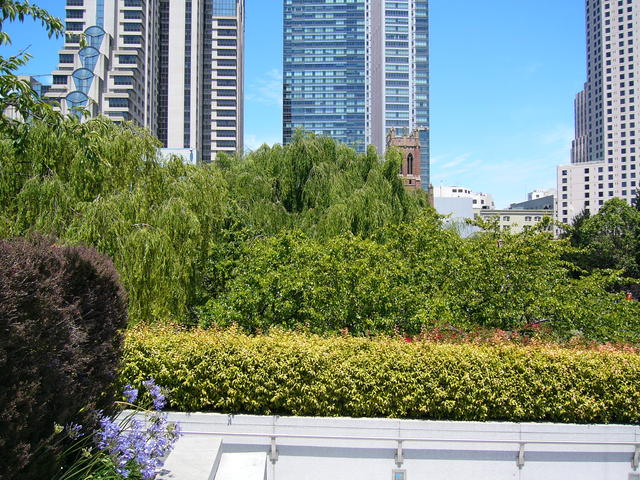 P1020317
