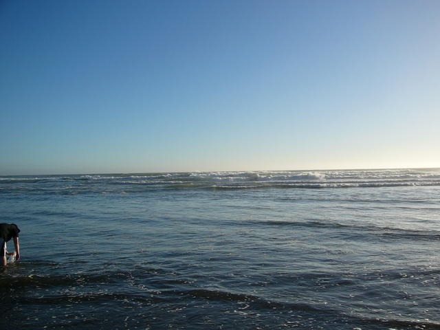 P1020504