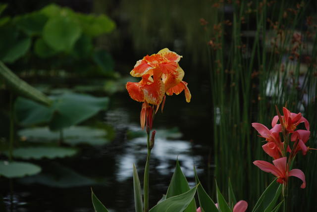 DSC_0158