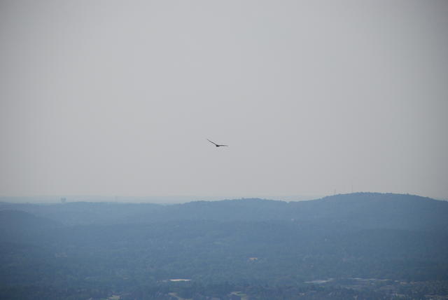 DSC_0020