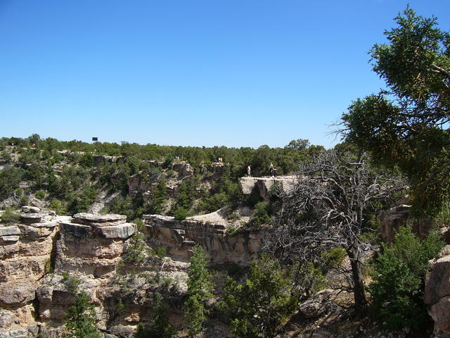 P1020106